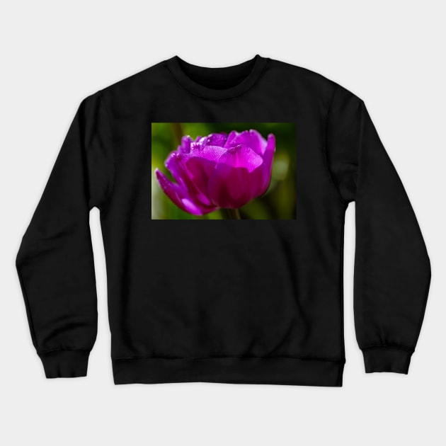 Tulip In Sunlight Crewneck Sweatshirt by blossomcophoto